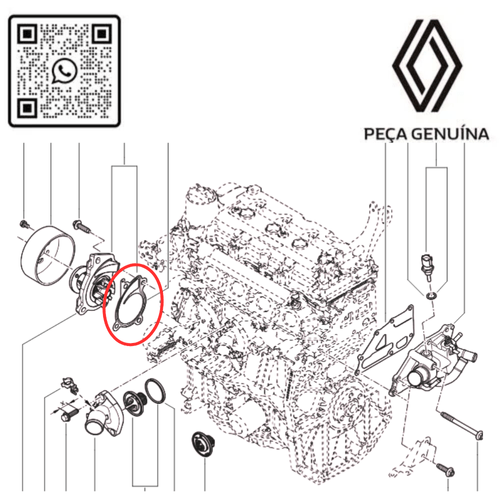 RN 21014E       JUNTA DA BOMBA DE AGUA H4M 1.6 16V   21014ED000  1BG507 -3-